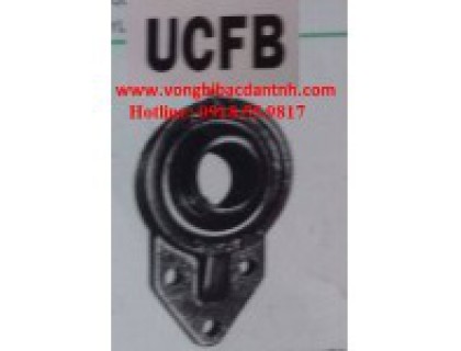 VÒNG BI FB202- BẠC ĐẠN UCFB202 - ASAHI